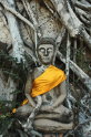 B,geerligs-Buddha tussen de wortels