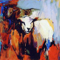 schapen2